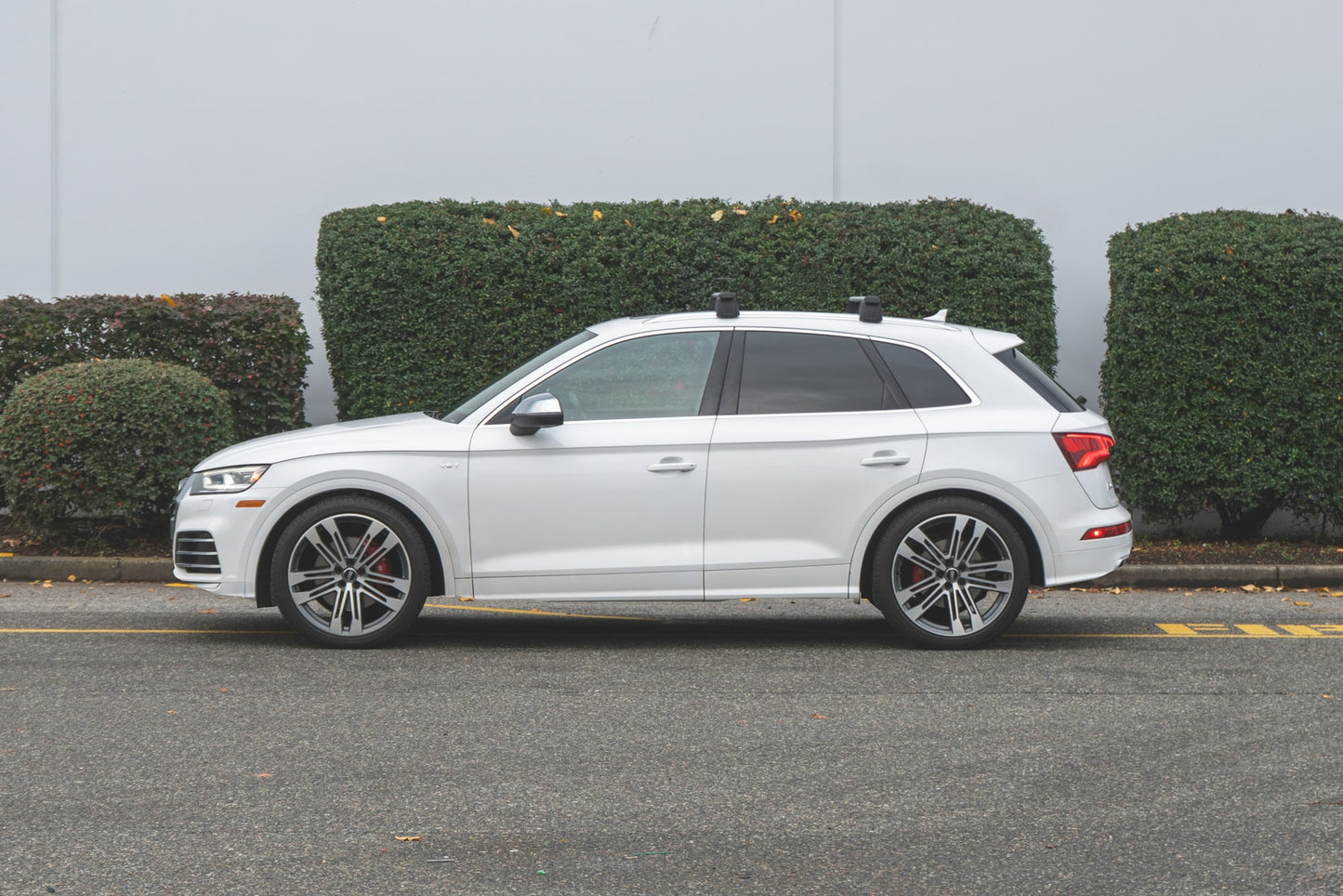 Lowering Springs | Audi B9/9.5 SQ5 | CTS Turbo