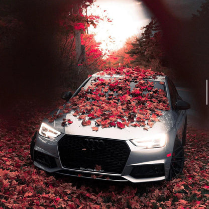 B9 RS4 Honeycomb Grille | Audi B9 A4 Non S-Line, A4 S-Line, S4 | Canadian Auto Performance