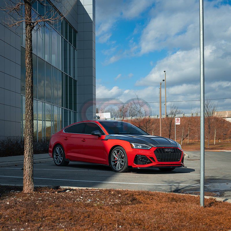 B9/B9.5 Carbon Fiber Vented Hood | Audi B9/B9.5 A5, S5, RS5 | Canadian Auto Performance