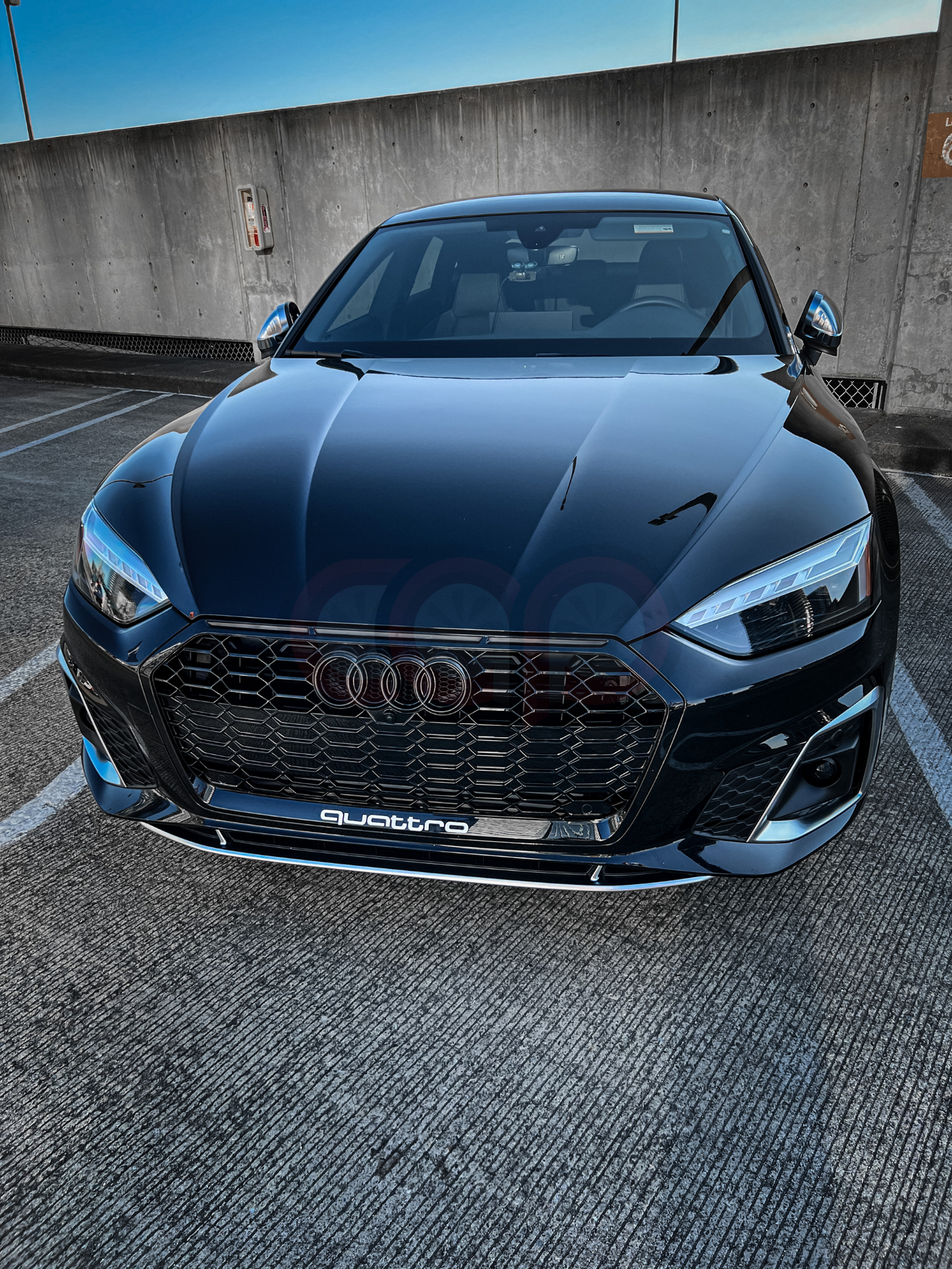 B9.5 RS5 Honeycomb Grille Black Frame Black Mesh | Audi B9.5 A5 S-Line, S5 | Canadian Auto Performance