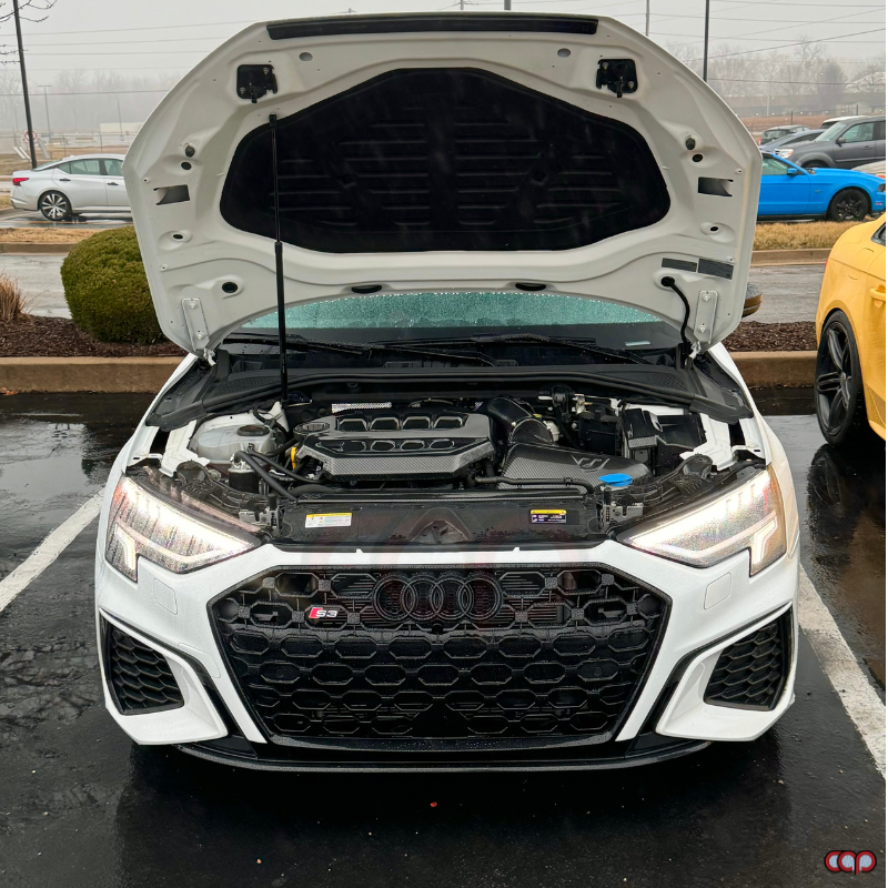 8Y RS3 Honeycomb Grille | Audi 8Y A3 S-Line, S3 | Canadian Auto Performance