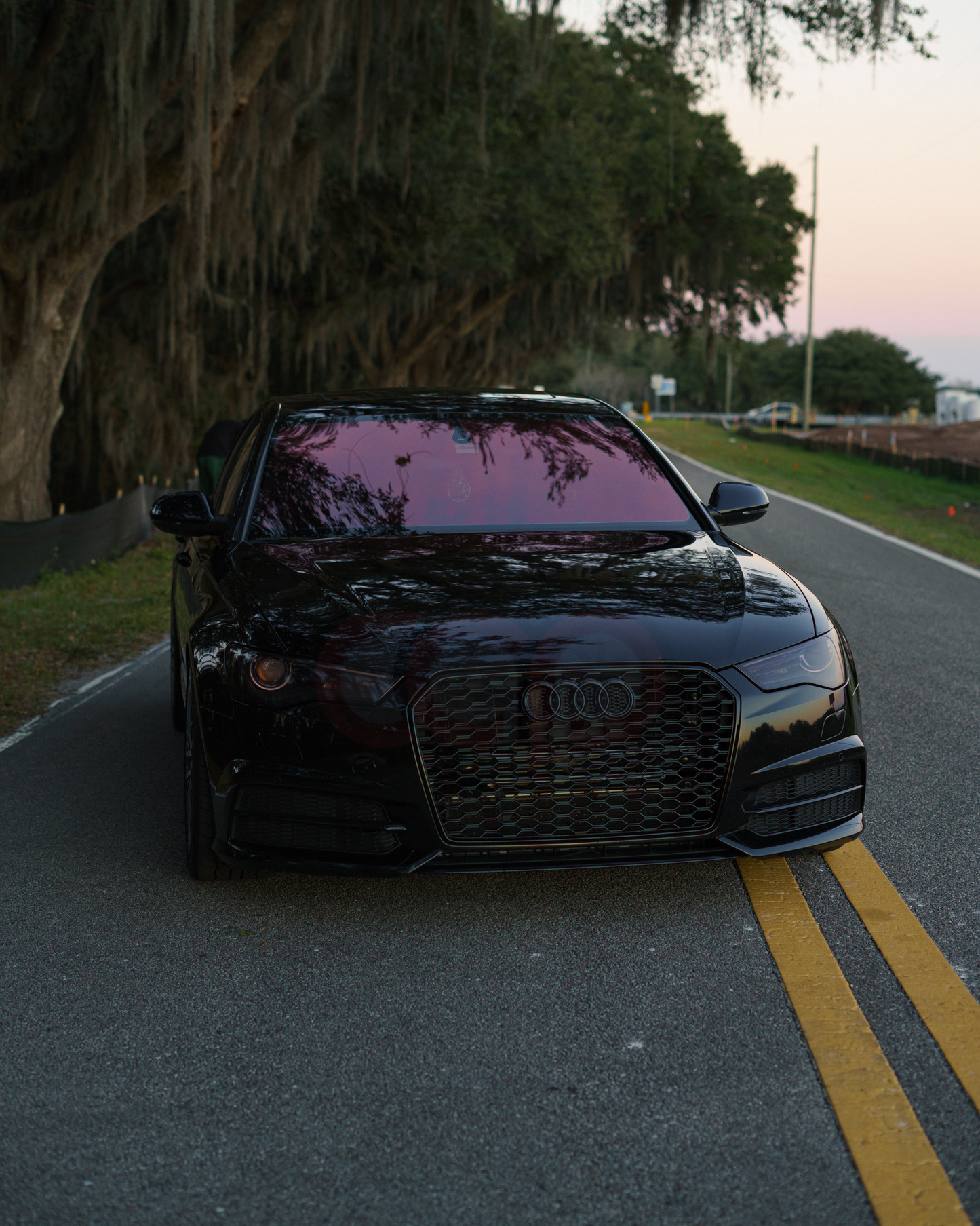 C7.5 RS6 Honeycomb Grille | Audi C7.5 A6 Non S-Line, A6 S-Line, S6 | Canadian Auto Performance