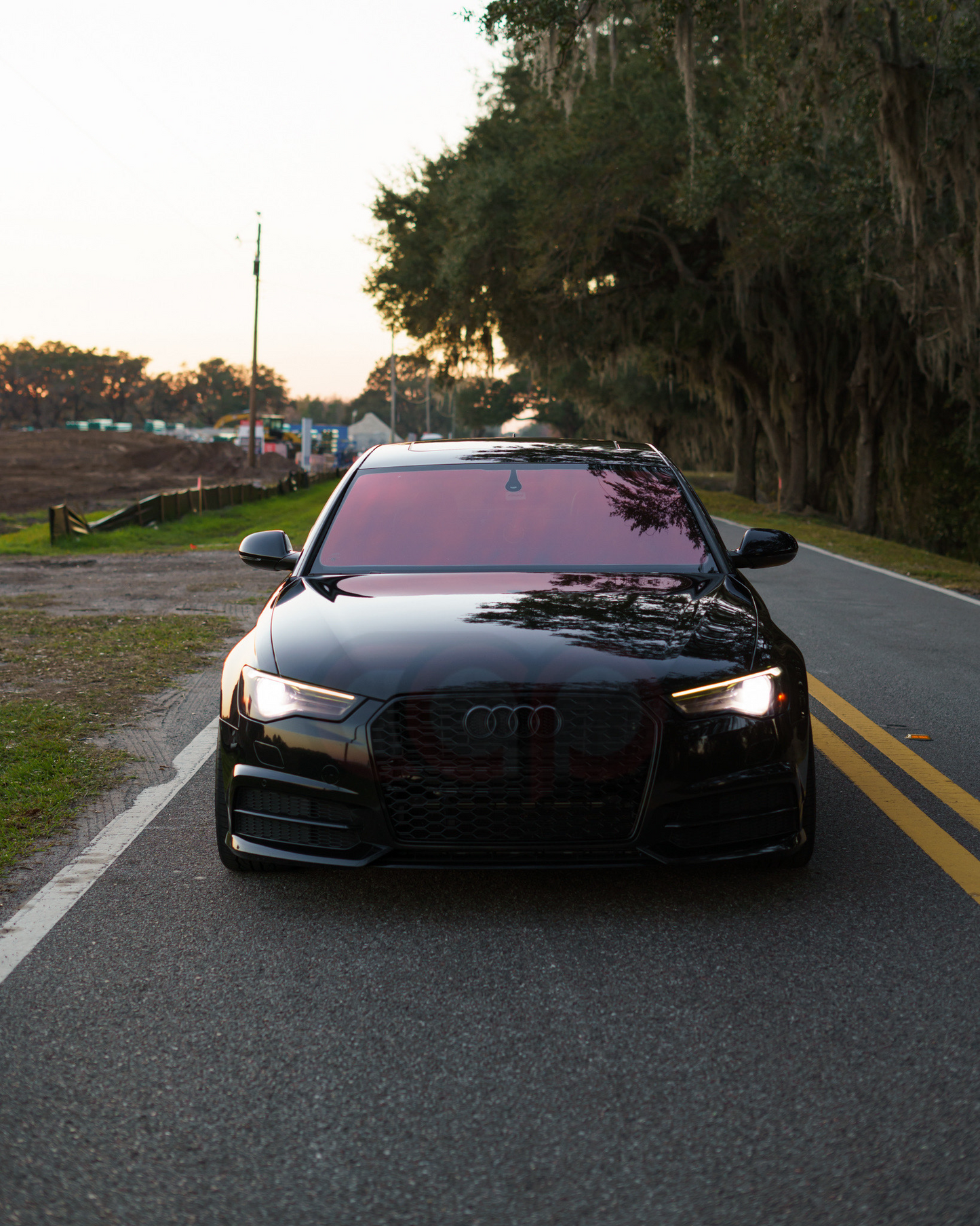 C7.5 RS6 Honeycomb Grille | Audi C7.5 A6 Non S-Line, A6 S-Line, S6 | Canadian Auto Performance
