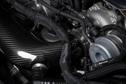 Carbon Fiber Intake System for Audi B9 RS5