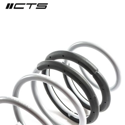 Lowering Springs | VW MK7 Jetta GLI | CTS Turbo