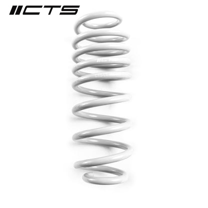 Lowering Springs | VW MK7 Jetta GLI | CTS Turbo