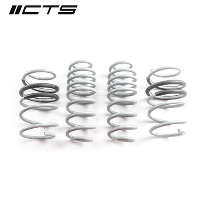 Lowering Springs | Audi B9/9.5 SQ5 | CTS Turbo