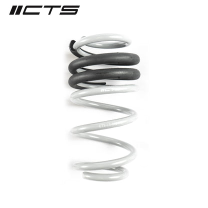 Lowering Spring Set | Audi B8/B8.5 A4/S4 | CTS Turbo