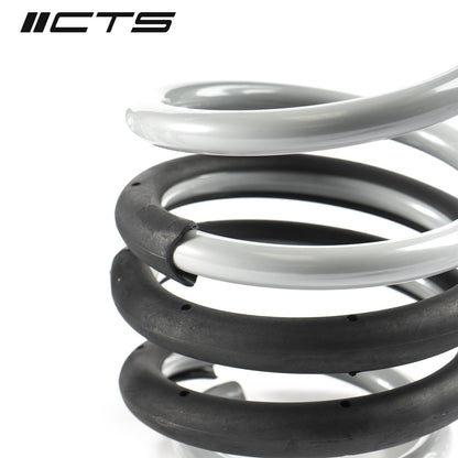 Lowering Spring Set | Audi B8/B8.5 A4/S4 | CTS Turbo