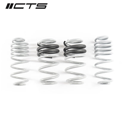 Lowering Spring Set | Audi B8/B8.5 A4/S4 | CTS Turbo