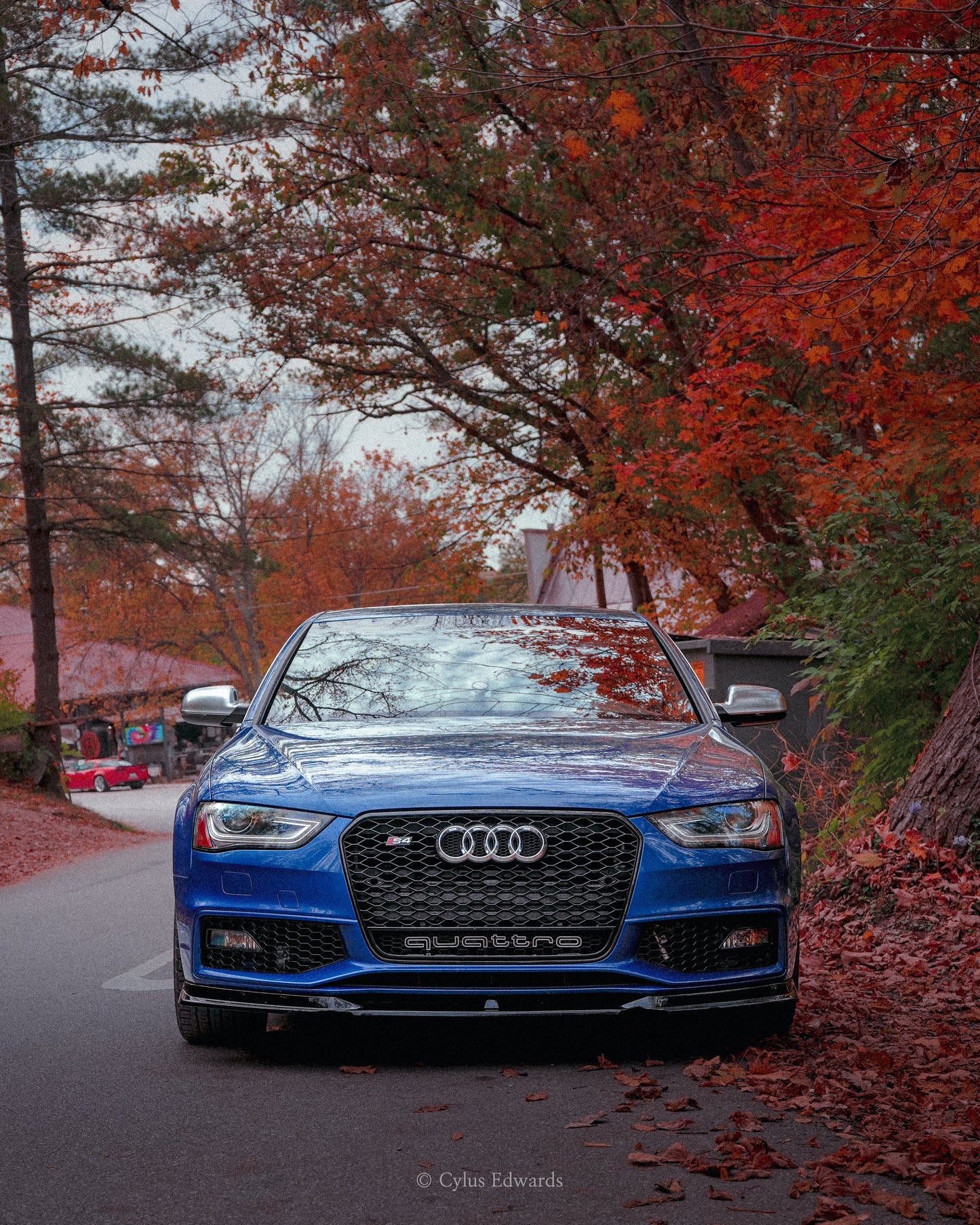 B8.5 RS4 Honeycomb Grille Quattro | Audi B8.5 A4 Non S-Line, A4 S-Line, S4 | Canadian Auto Performance