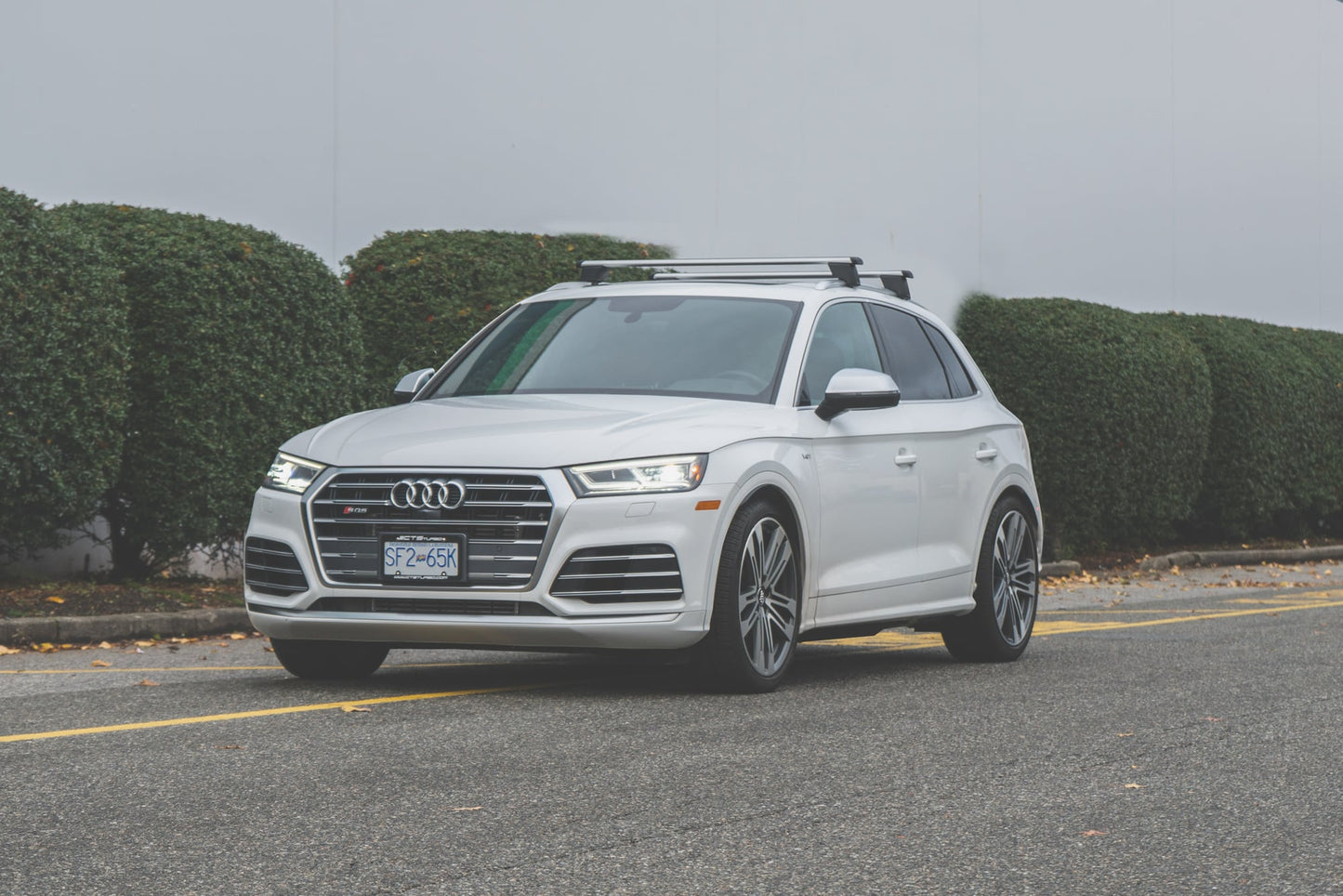 Lowering Springs | Audi B9/9.5 SQ5 | CTS Turbo