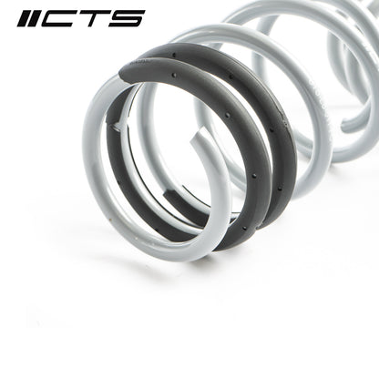 Lowering Springs | Audi 8V S3/RS3 | CTS Turbo