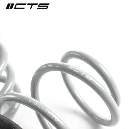 Lowering Springs | Audi 8V S3/RS3 | CTS Turbo