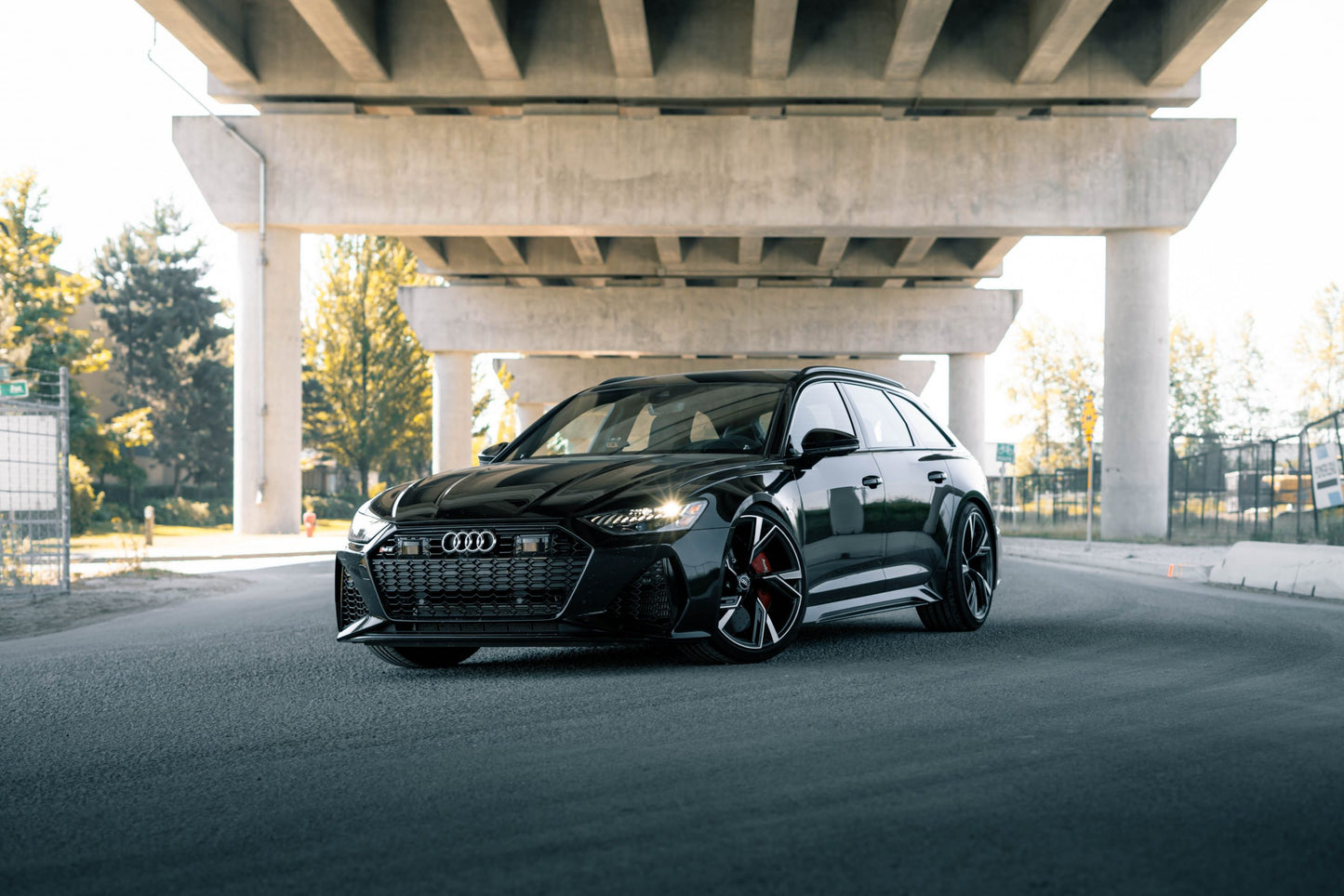 Adjustable Lowering Links | Audi C8 A6/A7/S6/S7/RS6/RS7 with Air Suspension | CTS Turbo