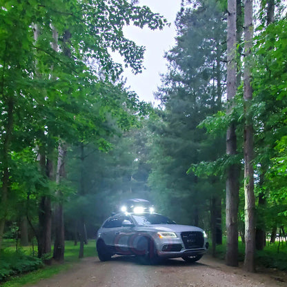 8R.5/B8.5 RSQ5 Honeycomb Grille Quattro | Audi 8R.5/B8.5 Q5 Non S-Line, Q5 S-Line, SQ5 | Canadian Auto Performance