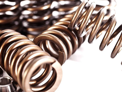Valve Spring & Retainer Kit | VW & Audi 2.5L Engines | Integrated Engineering