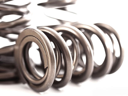 1.8T 20V Valve Spring/Retainer Kit | Integrated Engineering